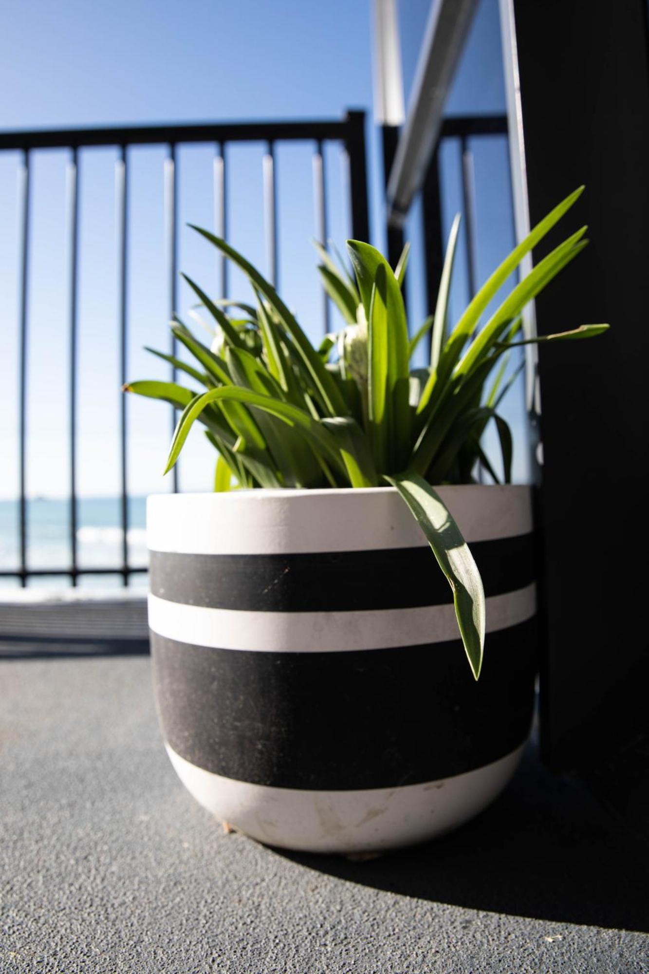Petra Seaside Apartment ดะนีดิน ภายนอก รูปภาพ