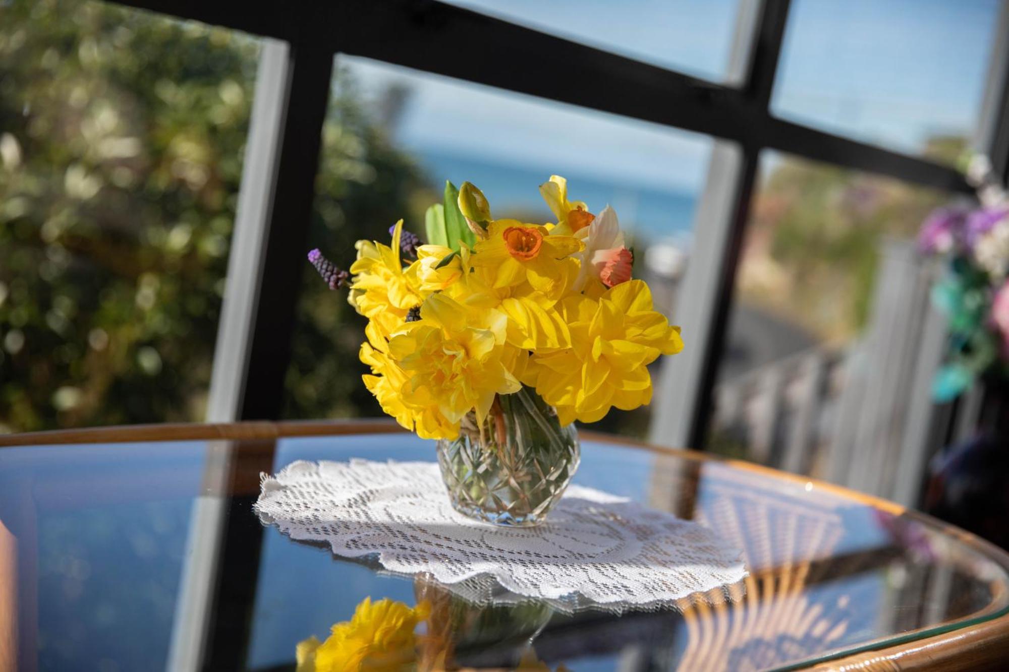 Petra Seaside Apartment ดะนีดิน ภายนอก รูปภาพ